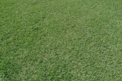 s7300206_th.jpg